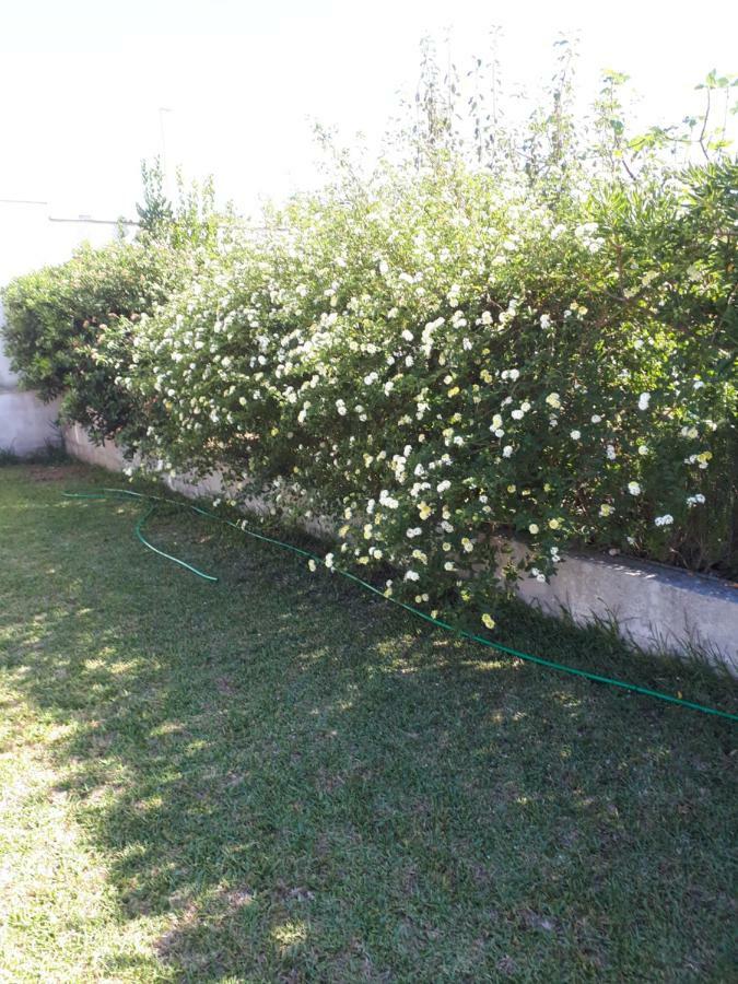 Villetta Lucia Torre dell'Orso Εξωτερικό φωτογραφία
